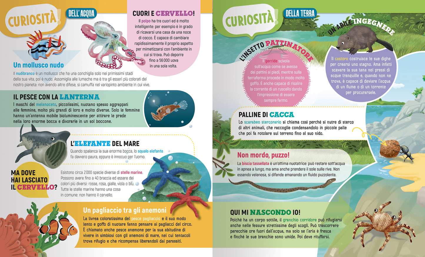 Animali dei mari fiumi e laghi