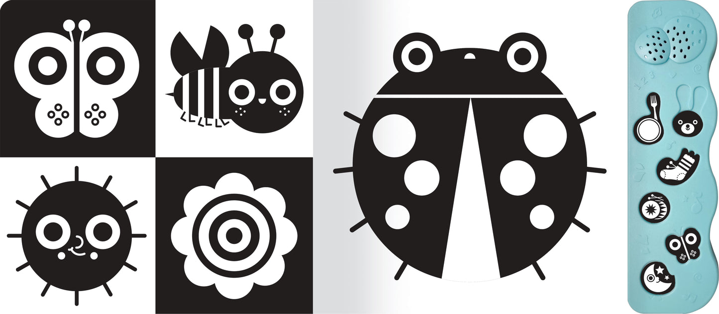 Guardo e ascolto il mondo