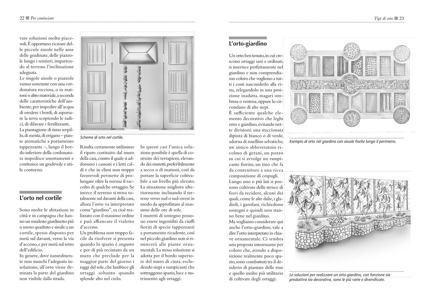 Il maxi libro dell'Orto. Come progettare, organizzare e curare il tuo orto