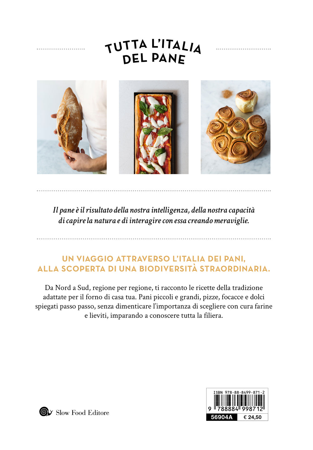 Tutta l'Italia del pane