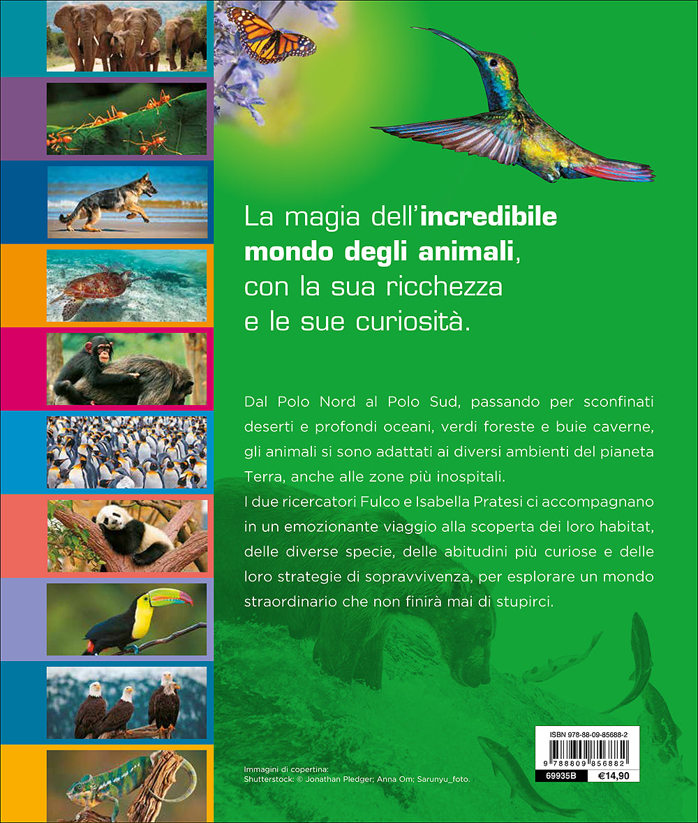 Nel mondo degli animali