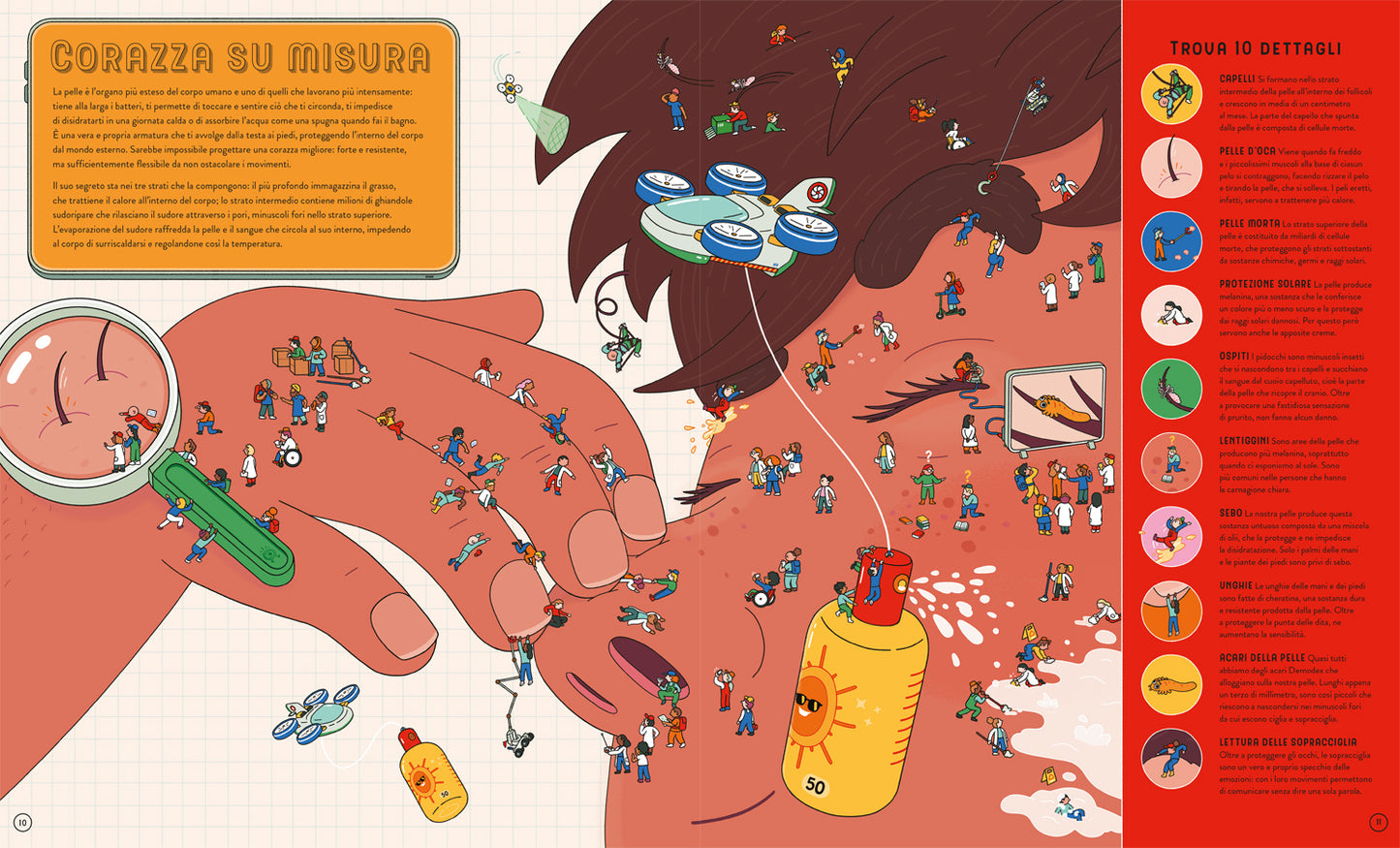 Guarda da vicino il corpo umano. Usa la lente magica per scoprire come siamo fatti