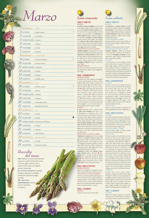 Calendario lunare 2020. 12 mesi di cose da fare