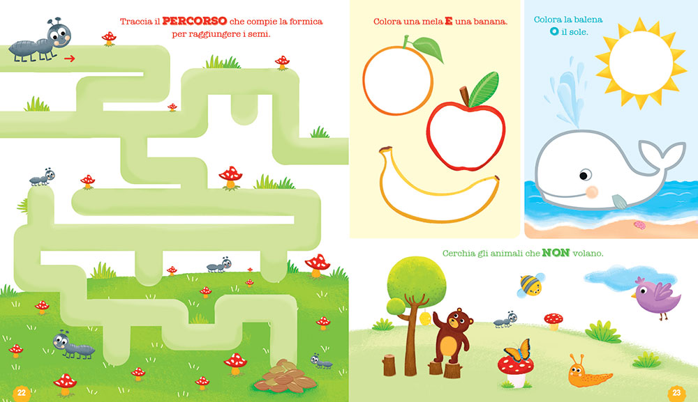 Il quaderno dei numeri - 5/6 anni. Pregrafismi, numeri e logica