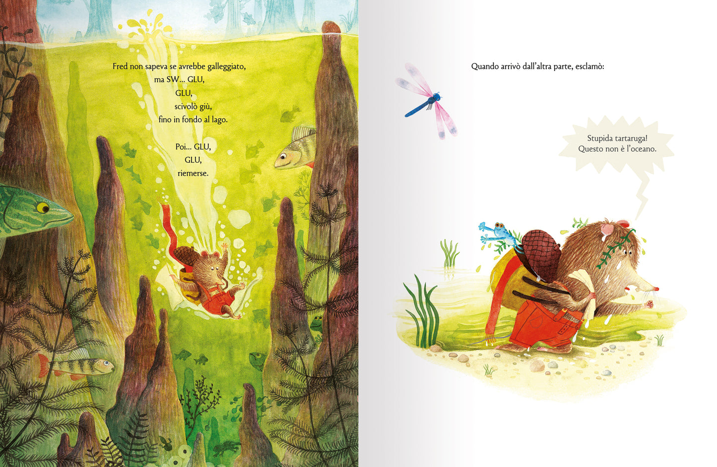 Caro Fred, Cara Gloria