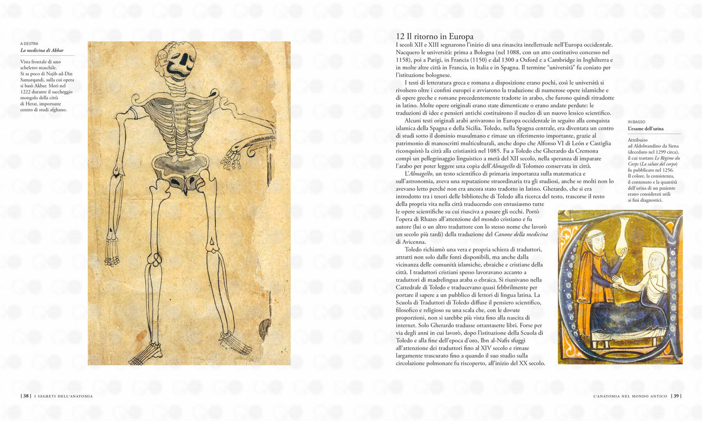 I segreti dell'anatomia. La scoperta del corpo umano nei secoli