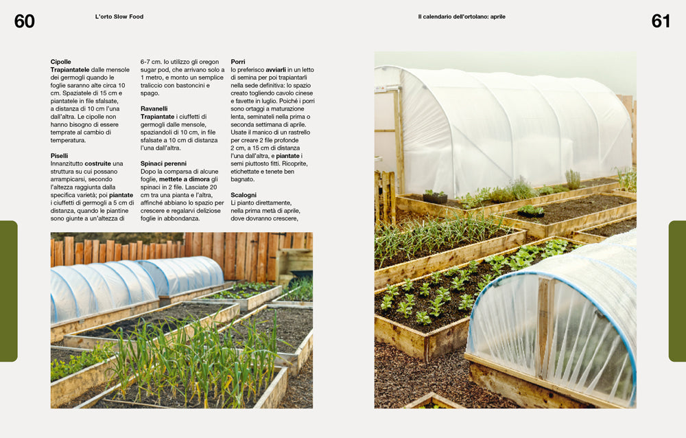 L'ORTO SLOW FOOD. Semina, coltiva e cucina per un anno
