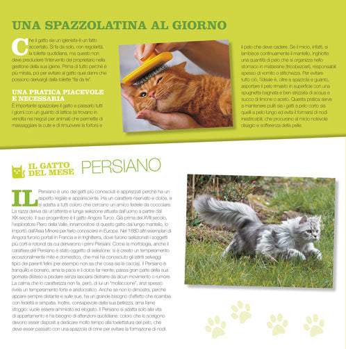 Gatti come noi - Calendario 2020