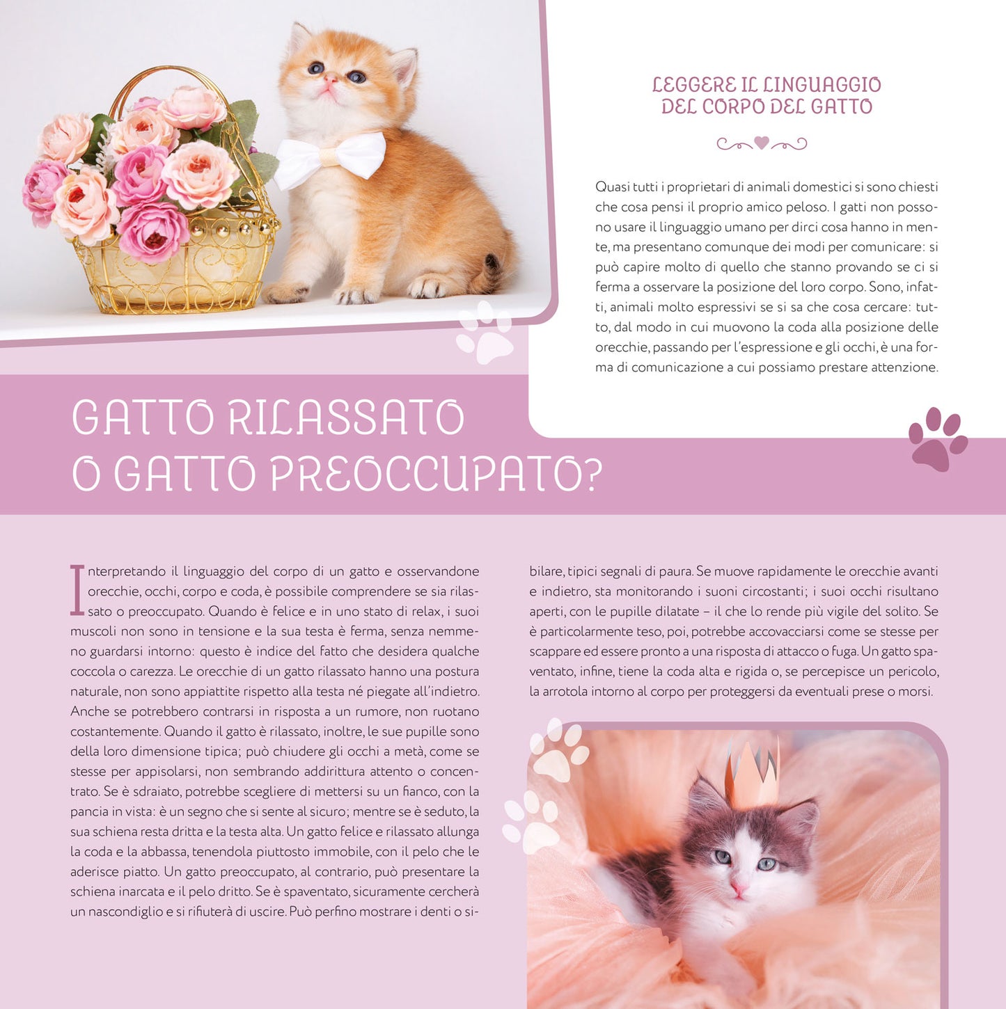 CALENDARIO GATTINI 2026 da parete (30 x 30 cm)