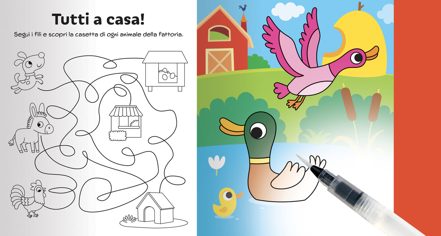 Magico Colore - Fattoria