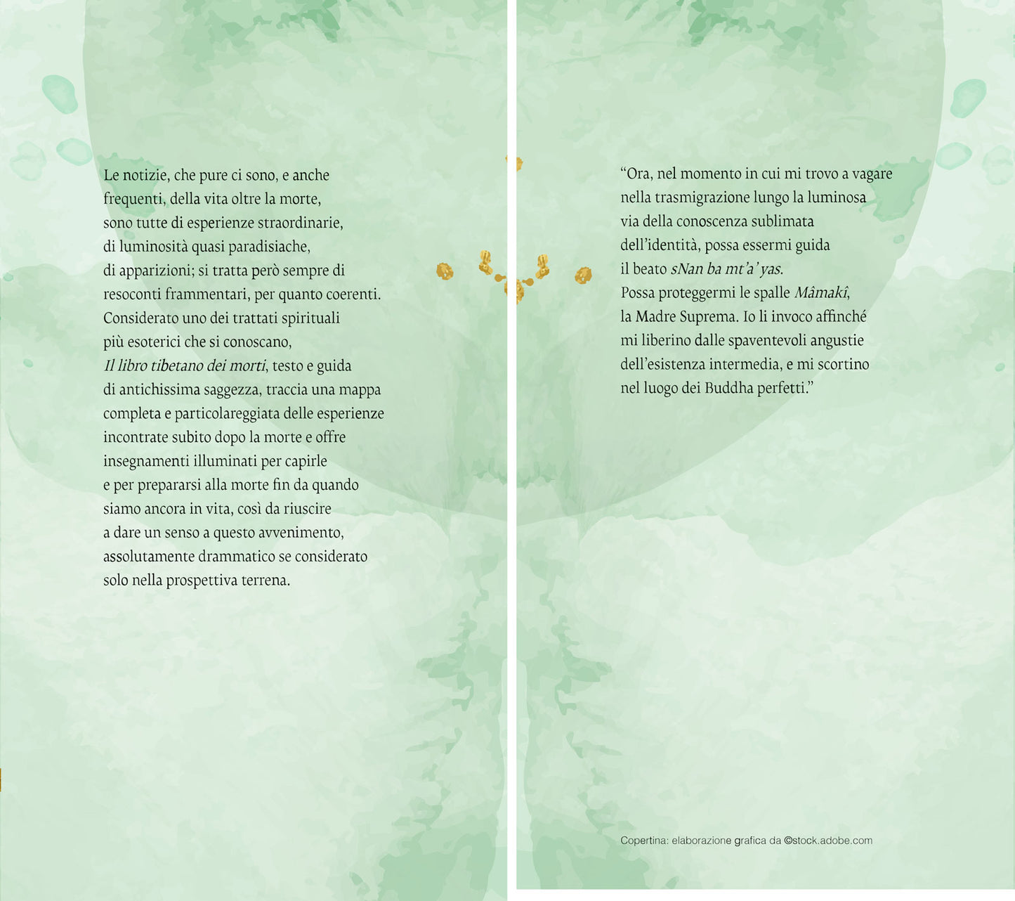 Il libro tibetano dei morti. La chiave segreta dell'immortalità