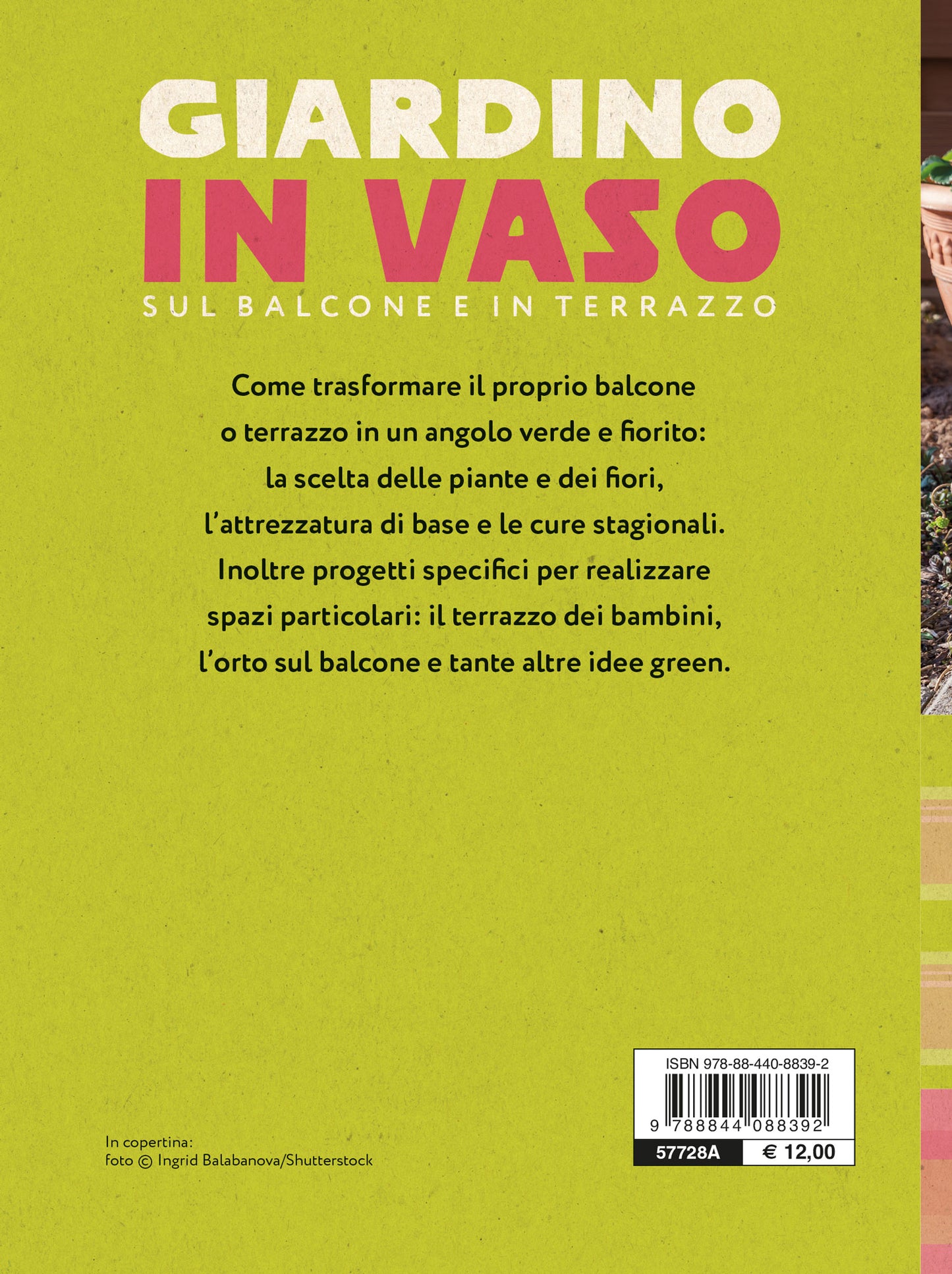 Giardino In Vaso Su Balcone Terrazzo