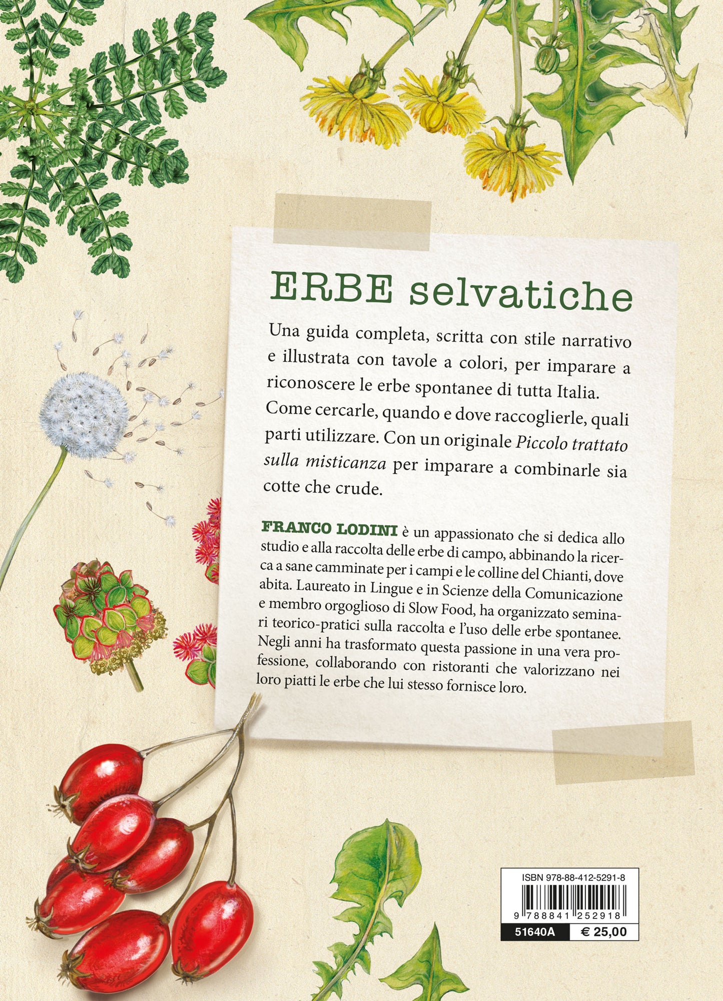 Erbe selvatiche. Riconoscimento - Raccolta - Usi gastronomici