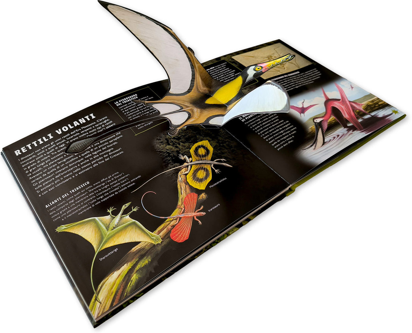 Viaggio nel mondo dei dinosauri. Guida interattiva sui terribili rettili preistorici