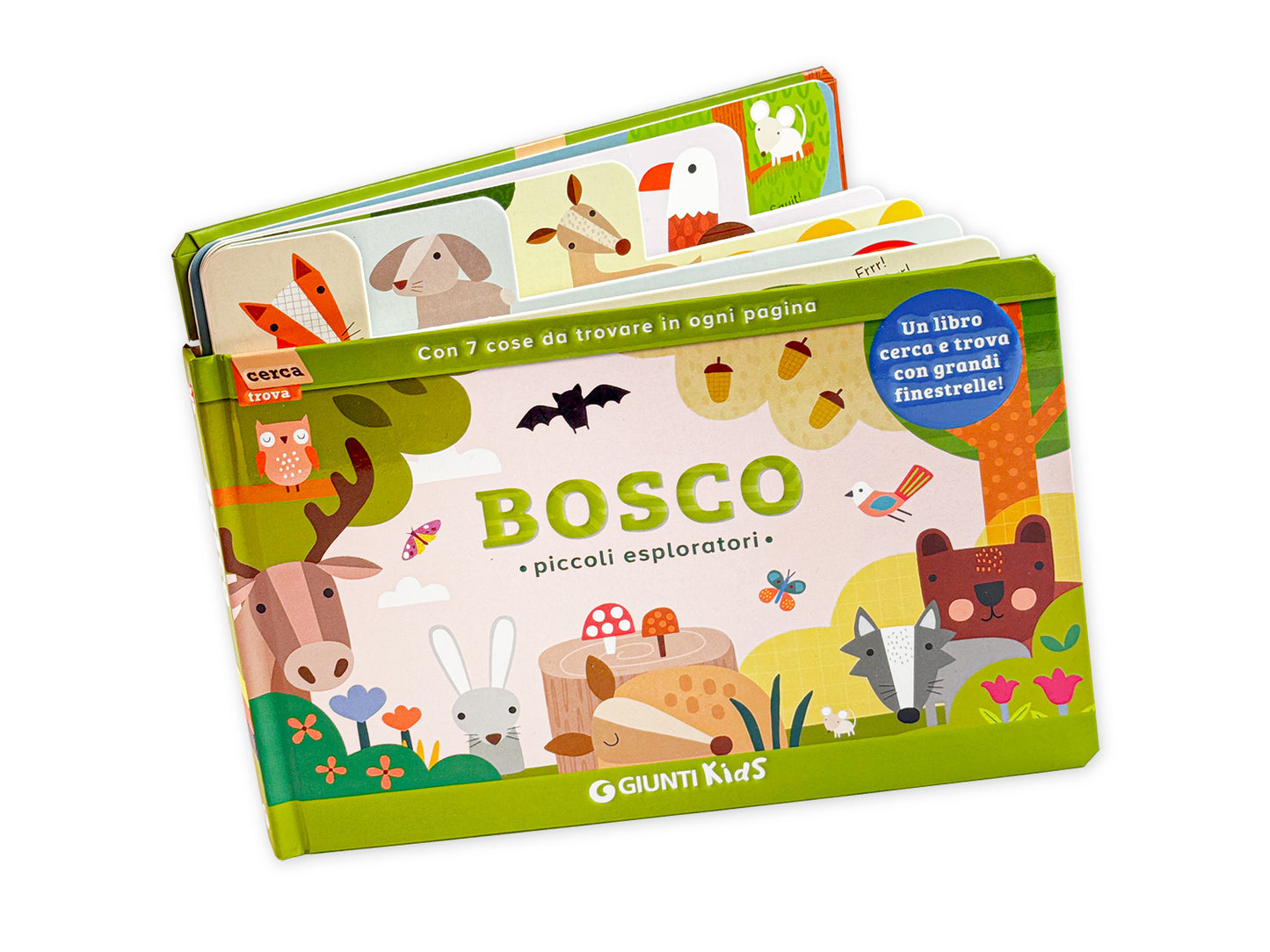 Bosco. Piccoli esploratori