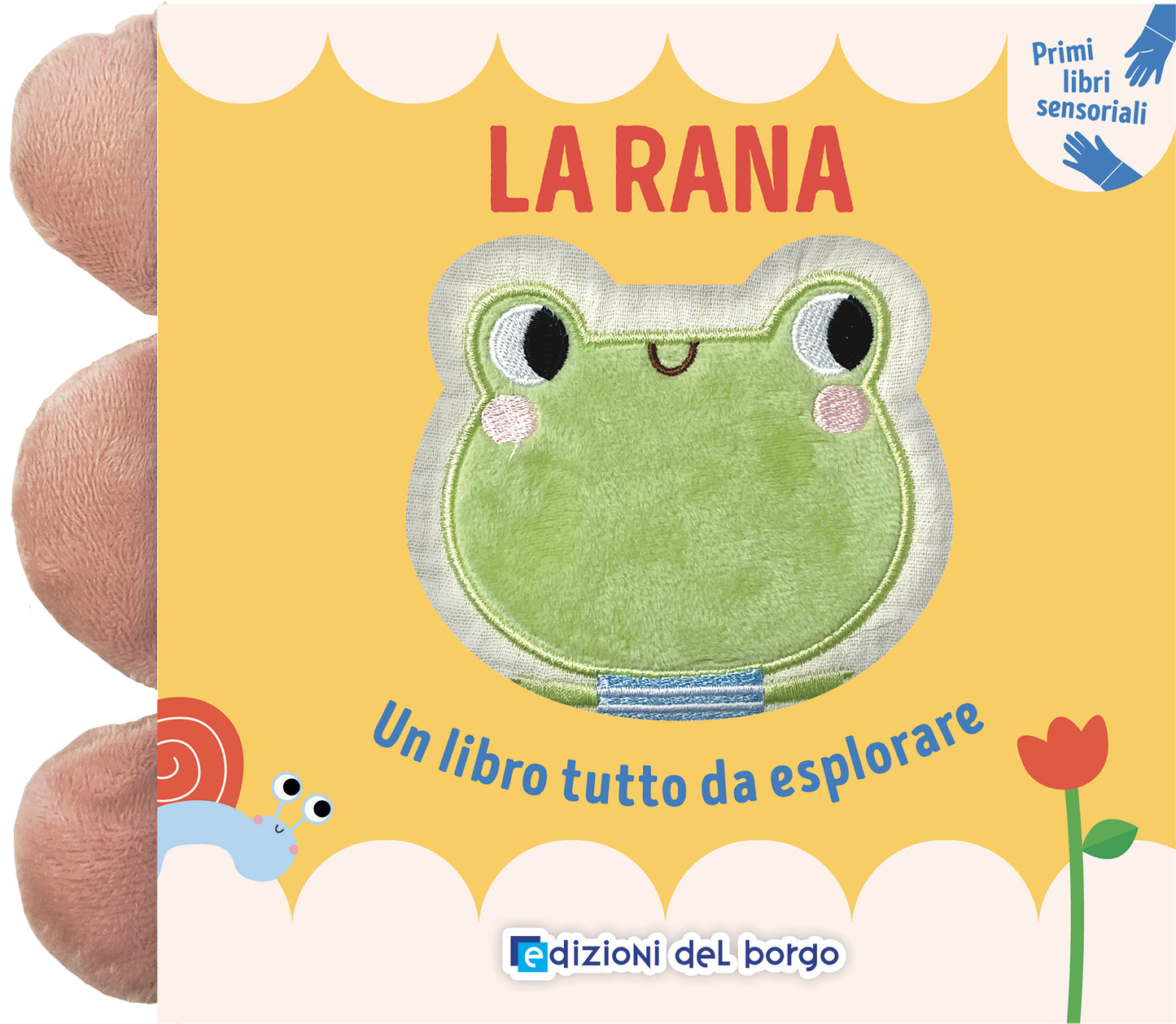 La rana. Un libro tutto da esplorare