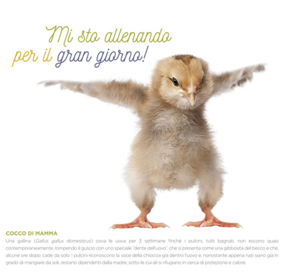 Calendario Cuccioli desk 2020