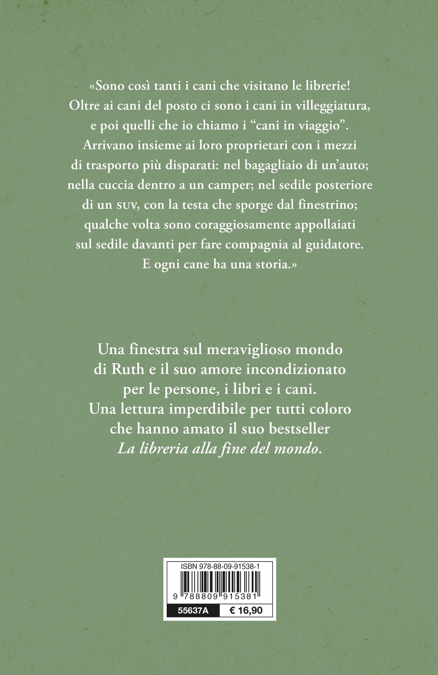 Quando le pagine non bastano.  Storie di libri, musi pelosi e altre carezze