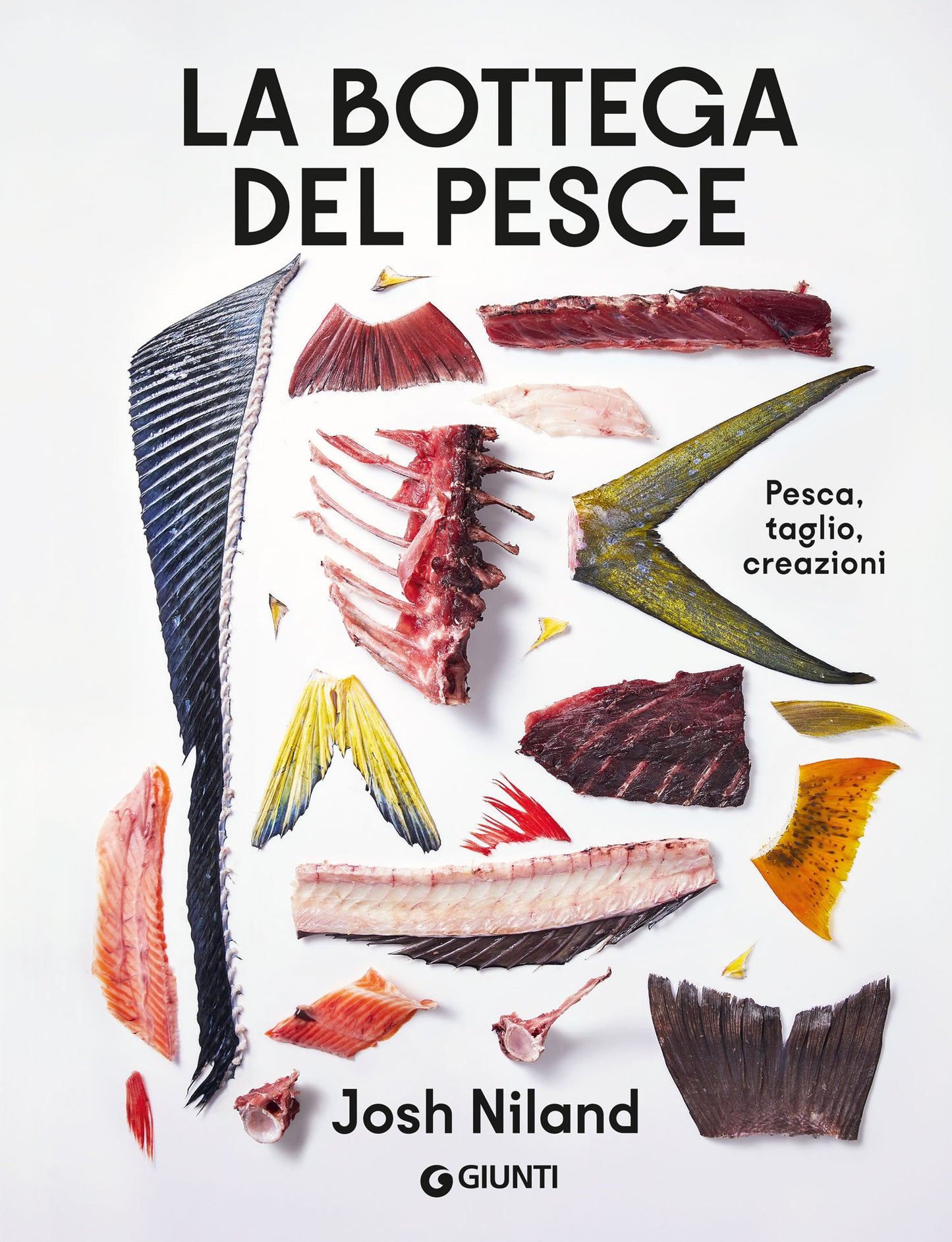 La bottega del pesce. pesca, taglio, creazioni