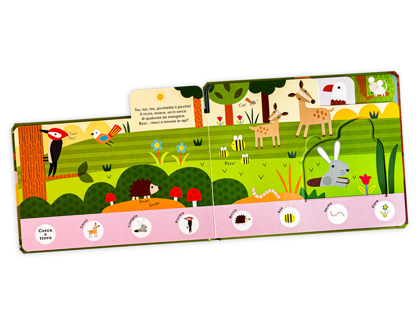 Bosco. Piccoli esploratori