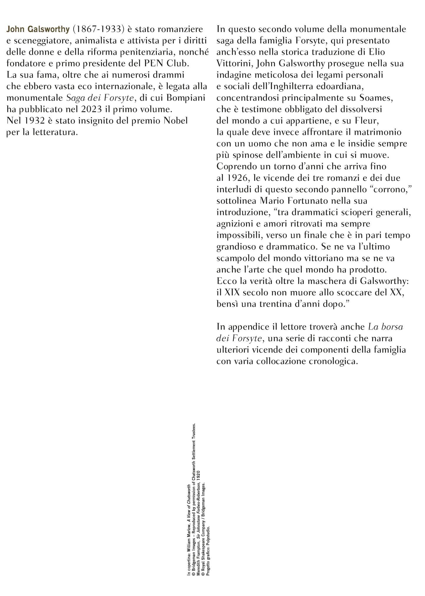 La saga dei Forsyte. Secondo volume