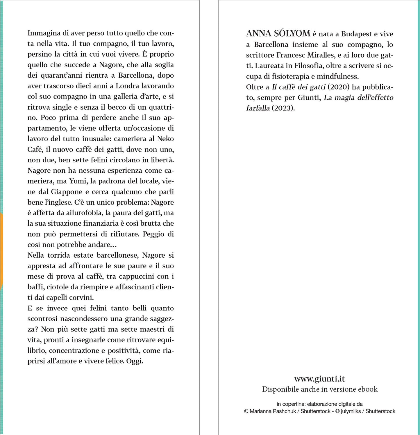 Il caffè dei gatti. Non ti servono 7 vite, puoi essere felice in questa