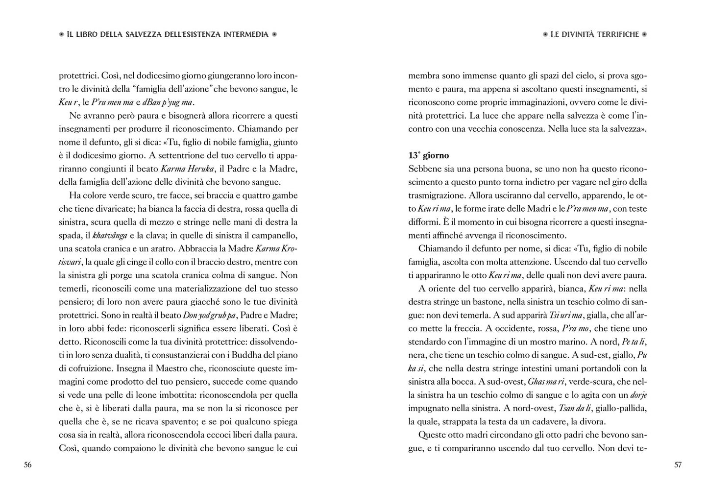 Il libro tibetano dei morti. La chiave segreta dell'immortalità
