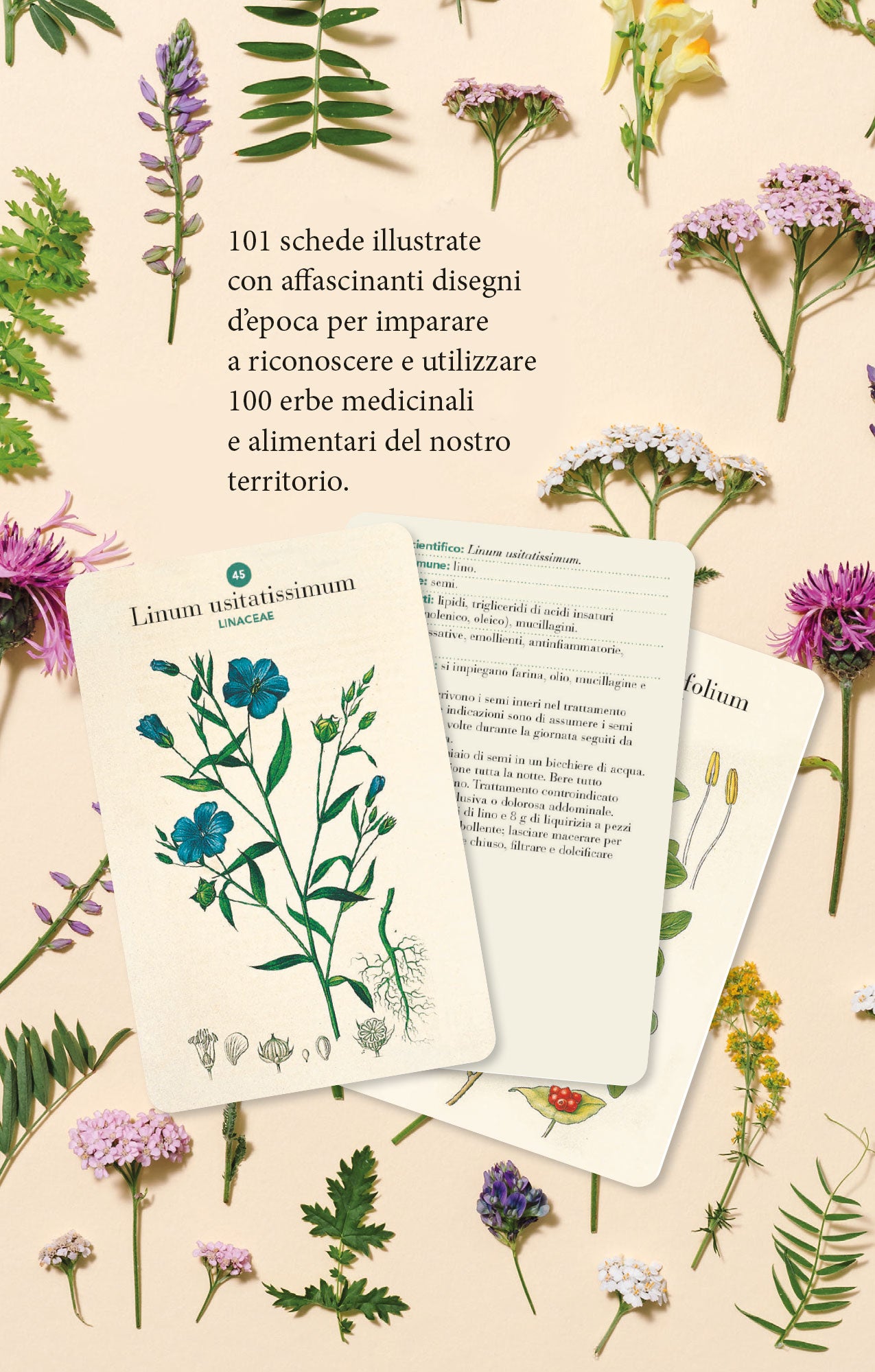 Erbario. 101 Schede per riconoscere le principali erbe curative e di uso alimentare