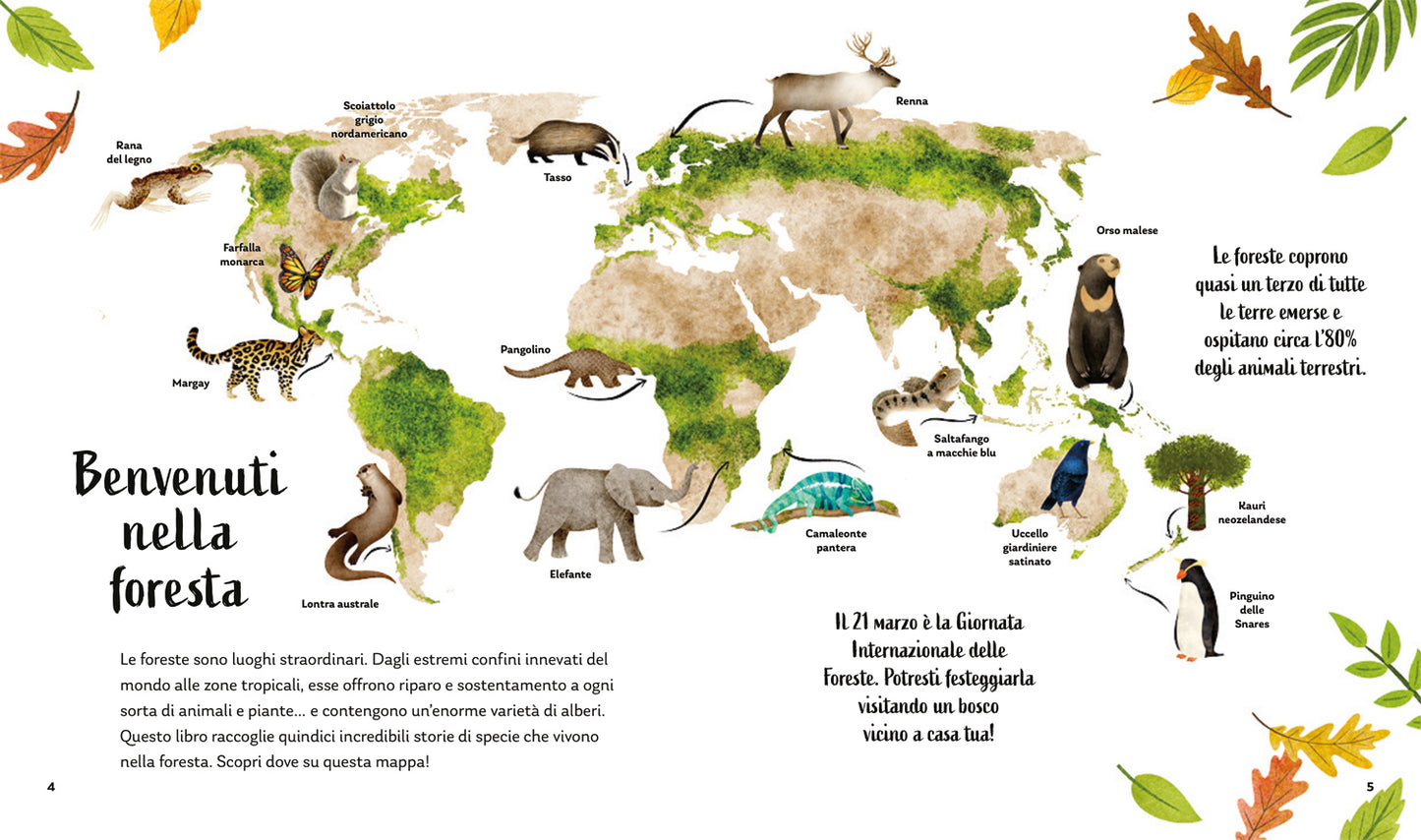 I segreti della foresta. Storie della buonanotte per scoprire la natura