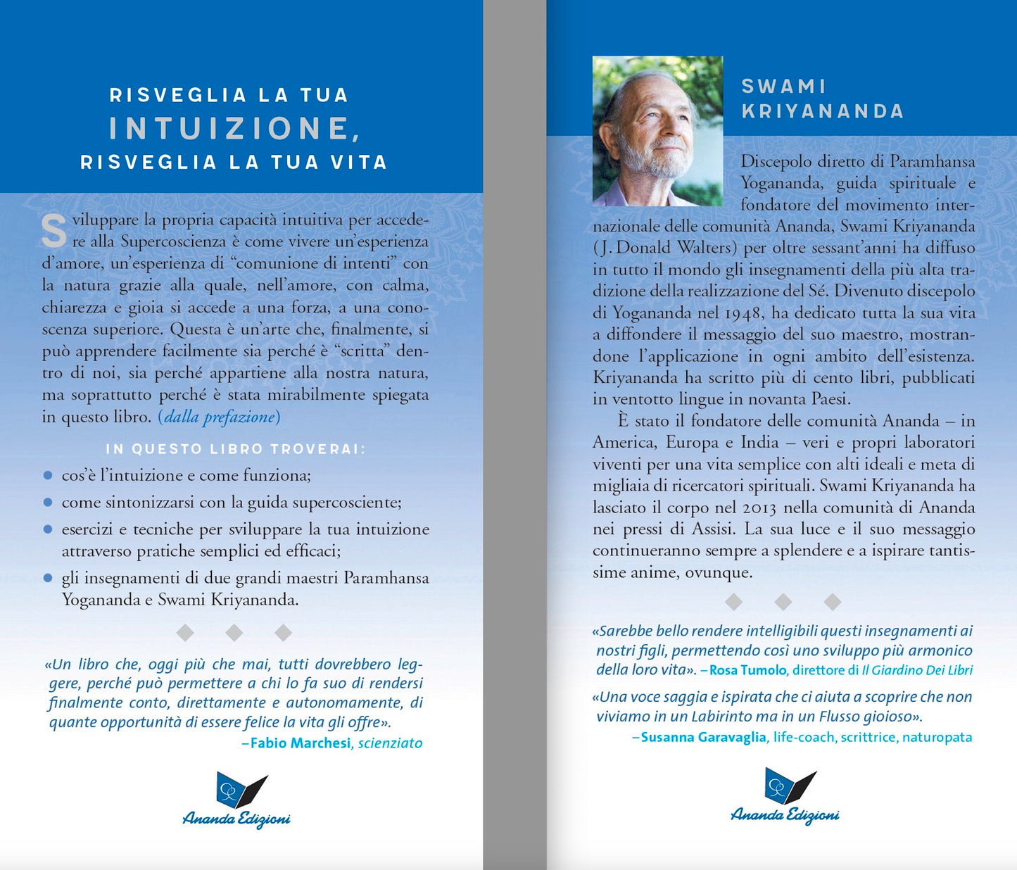 Intelligenza intuitiva. Come riconoscere e seguire la guida interiore