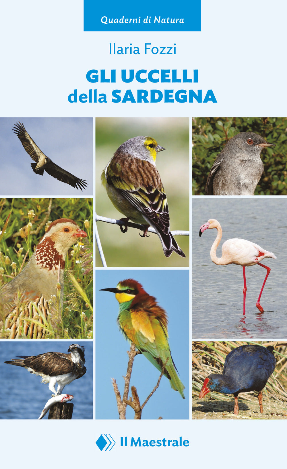 Gli uccelli della Sardegna.