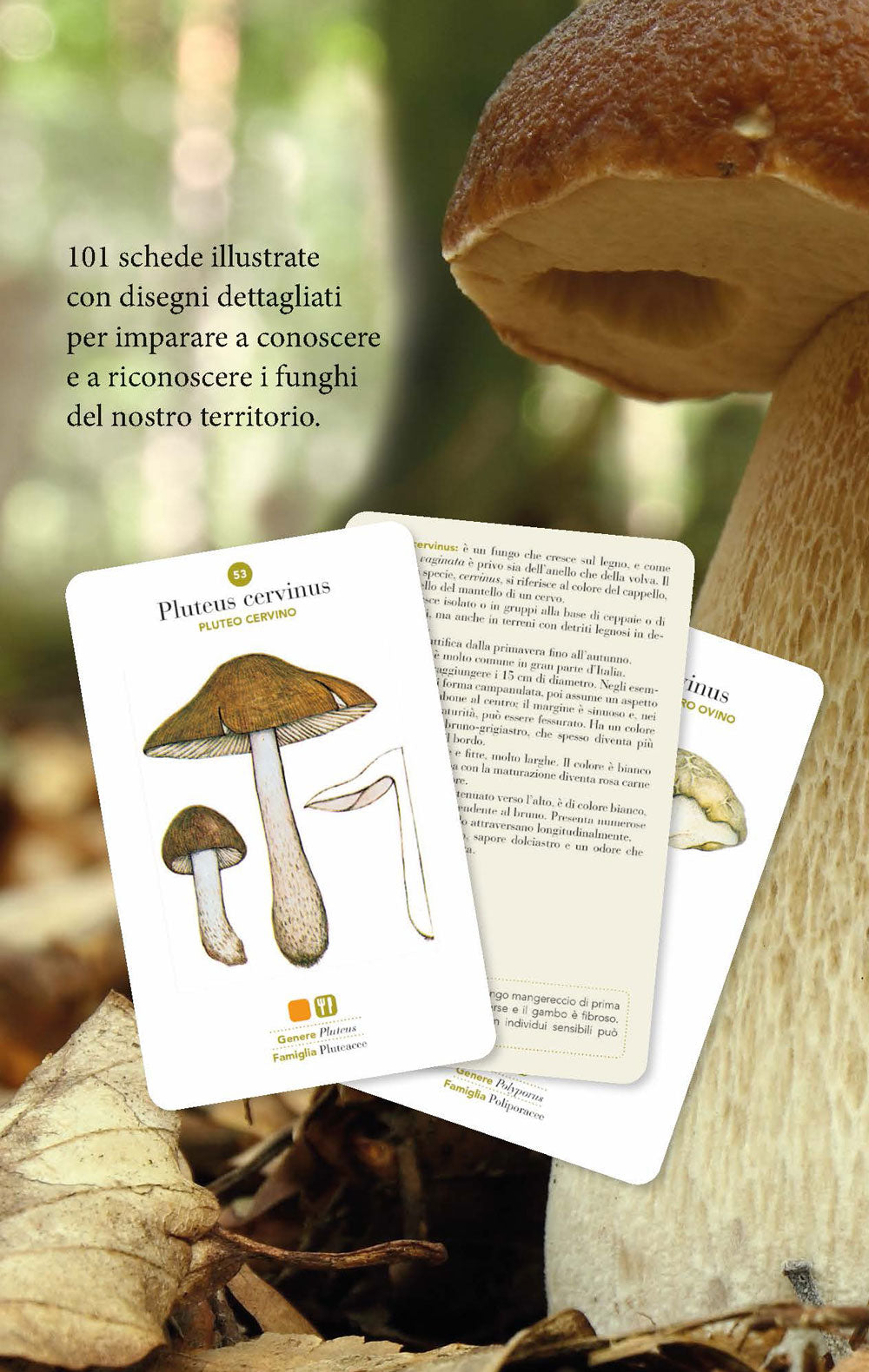 Funghi. 101 schede per conoscere, riconoscere e trovare i funghi