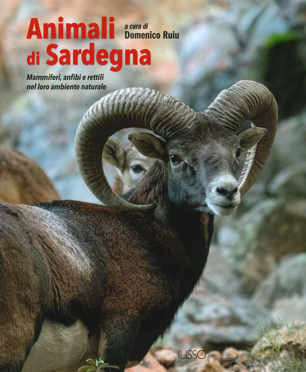 Animali di Sardegna. Mammiferi, anfibi e rettili nel loro ambiente naturale. Ediz. a colori