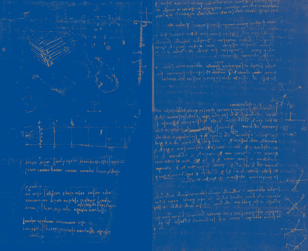 Leonardo & Firenze. Fogli scelti dal Codice Atlantico