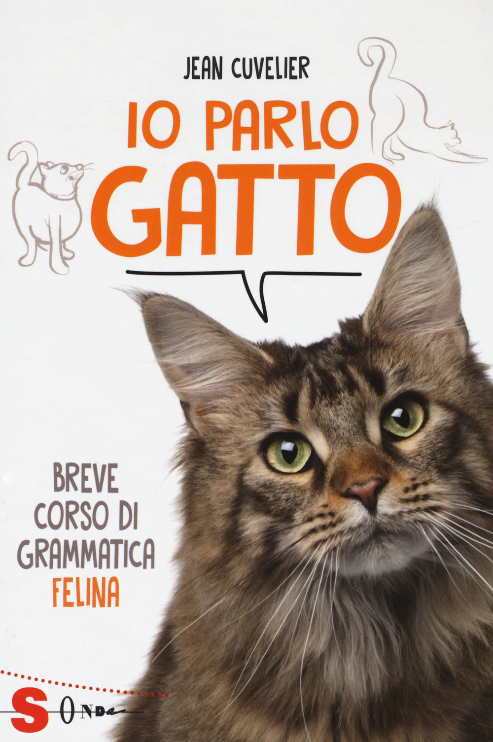 Io parlo gatto. Breve corso di grammatica felina.