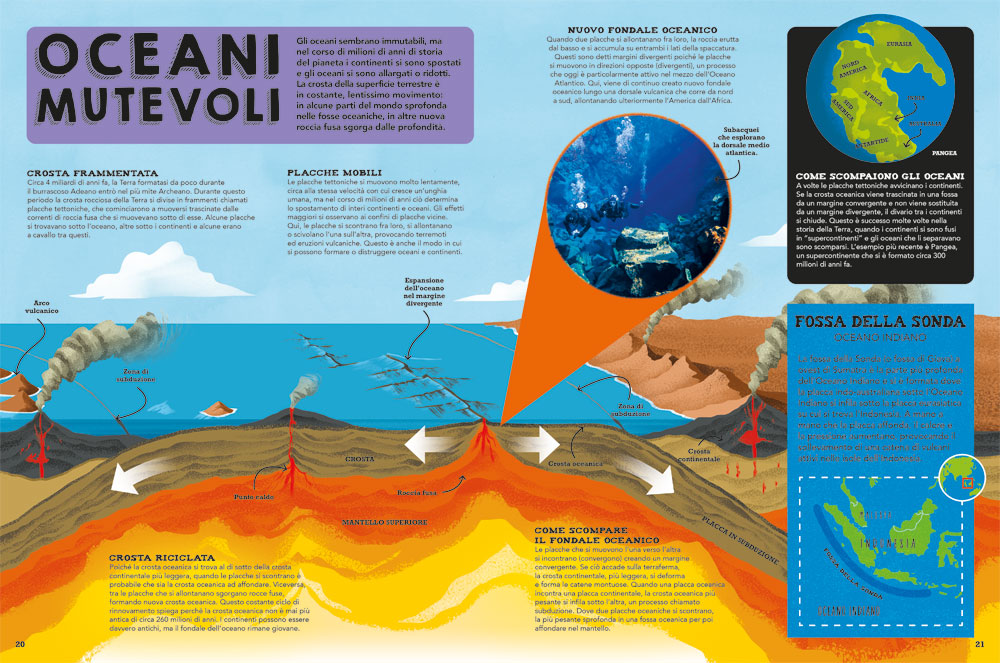 Il libro del mare. Esplora le profondità nascoste del nostro pianeta blu