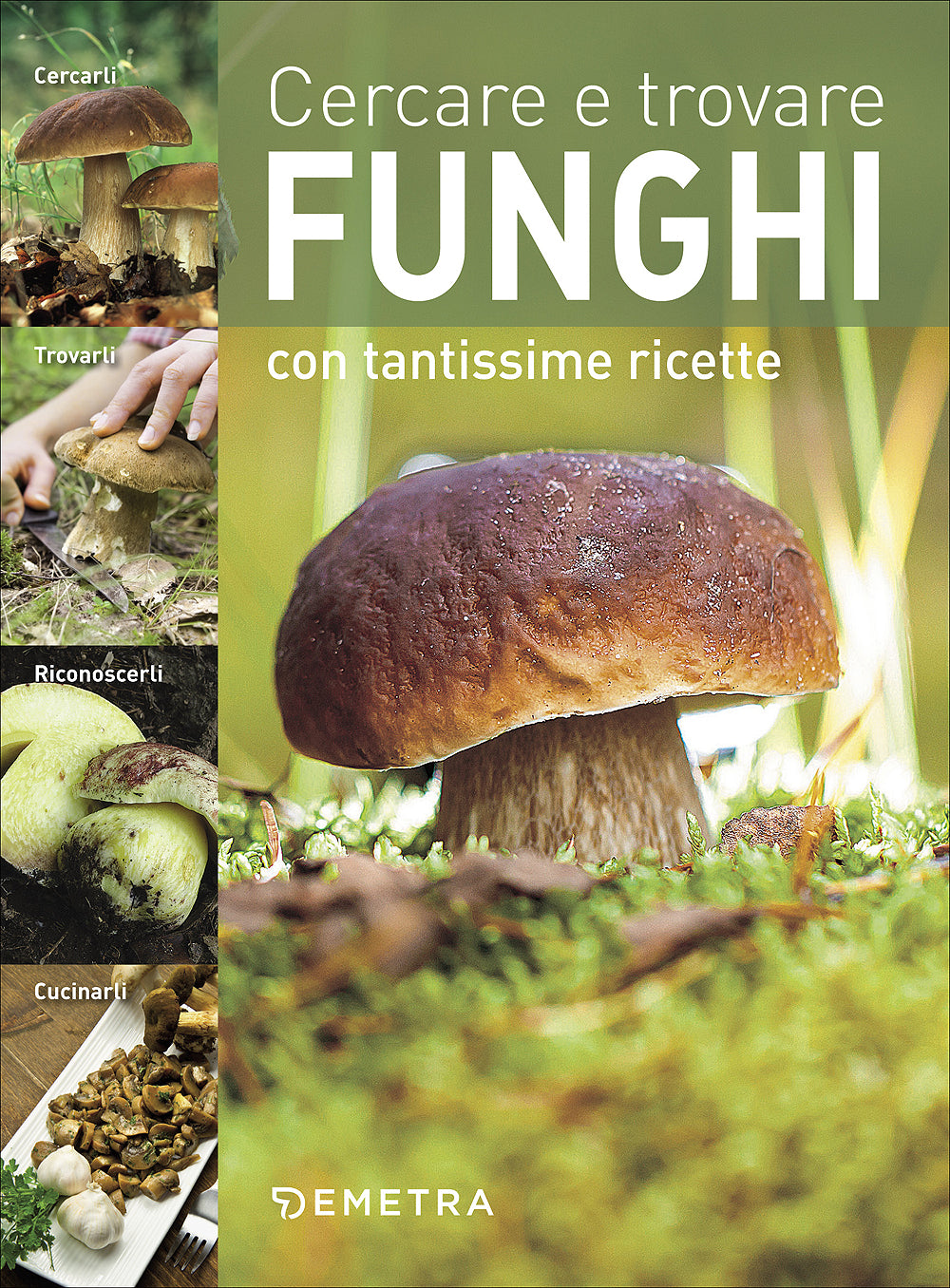 Cercare e trovare funghi. Con tantissime ricette