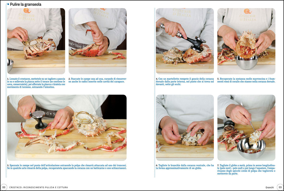 Frutti di mare e crostacei