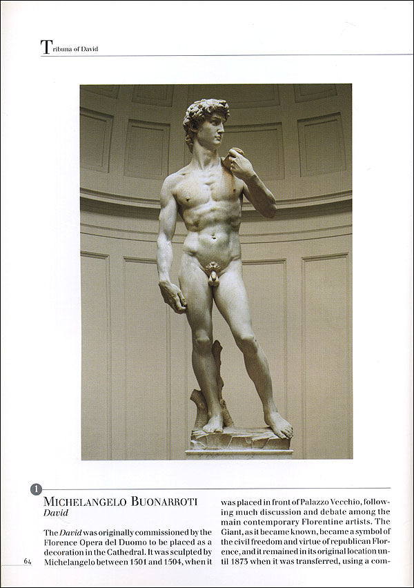 Accademia Gallery. The Official Guide. All of the Works - Edizione aggiornata