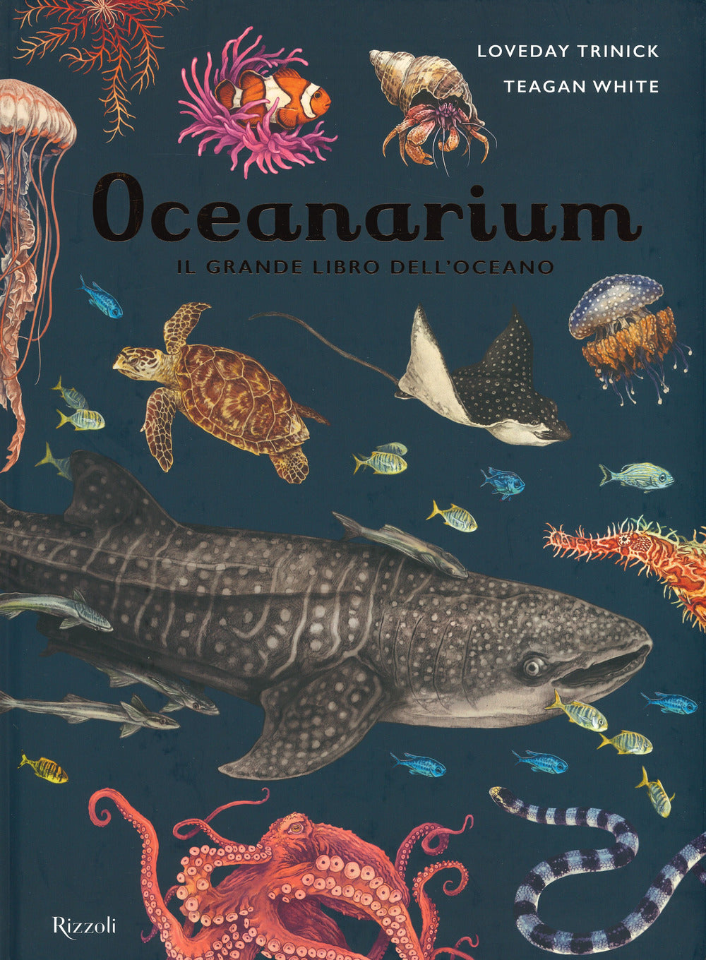 Oceanarium. Il grande libro dell'oceano.