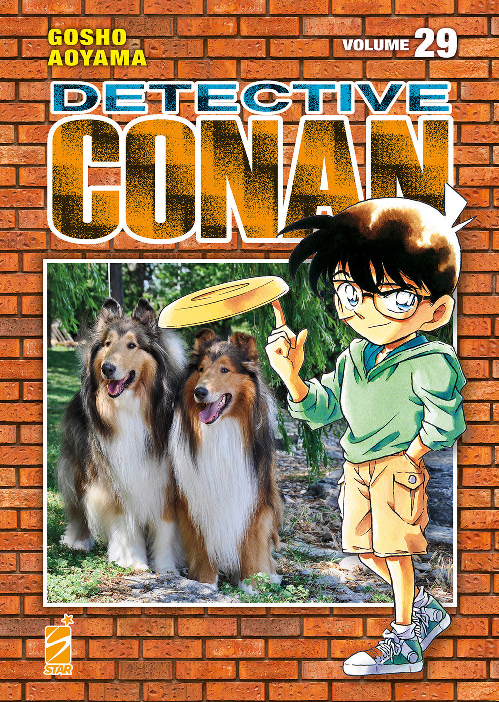 Detective Conan. New edition. Vol. 29