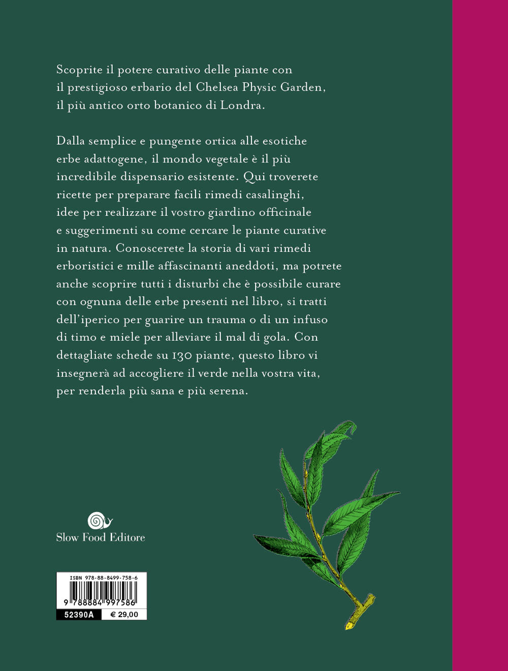 Curarsi con le piante. Giuda ai rimendi fitoterapici del più antico orto botanico di Londra