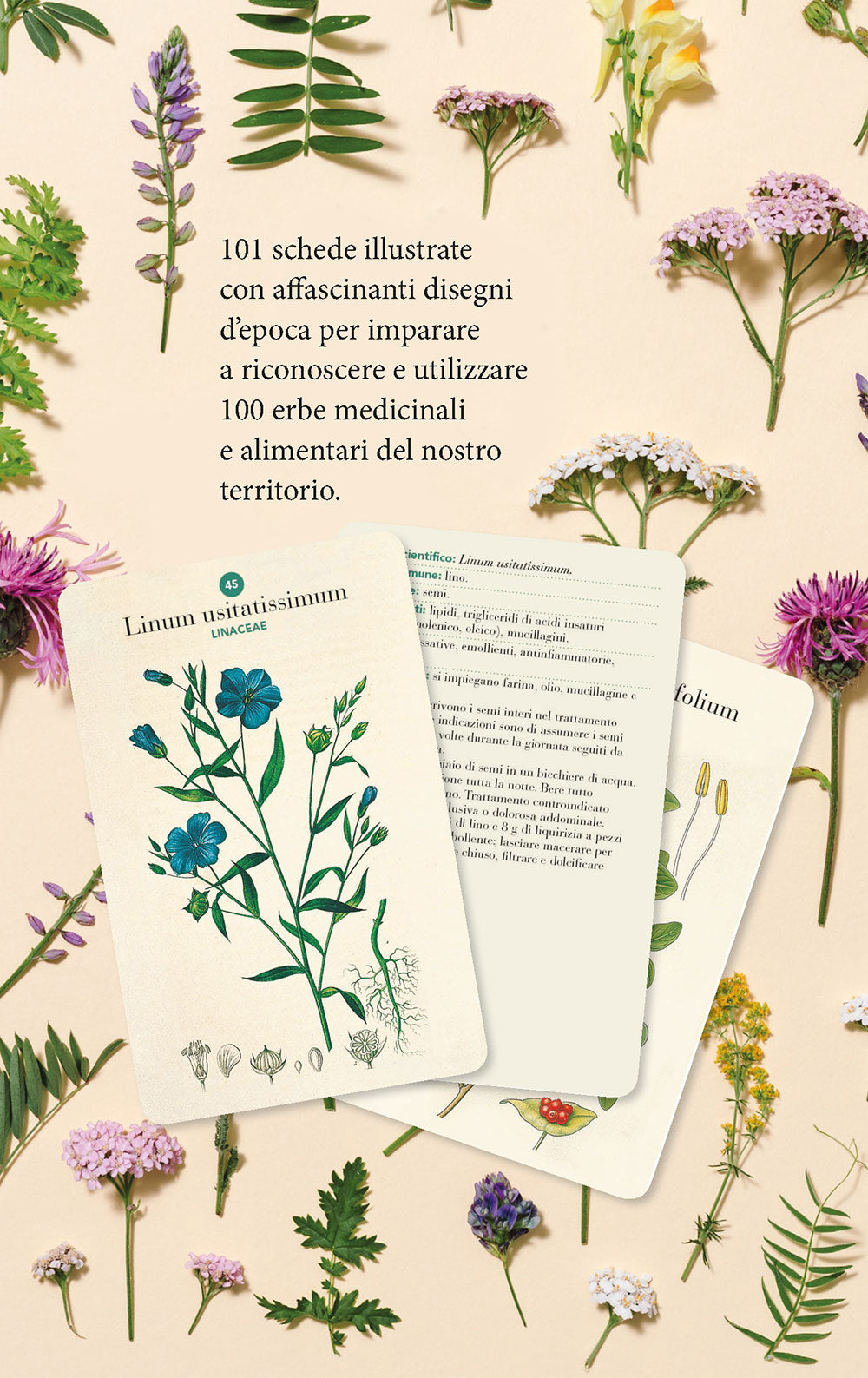 Erbario. 101 schede per riconoscere le principali erbe curative e di uso alimentare