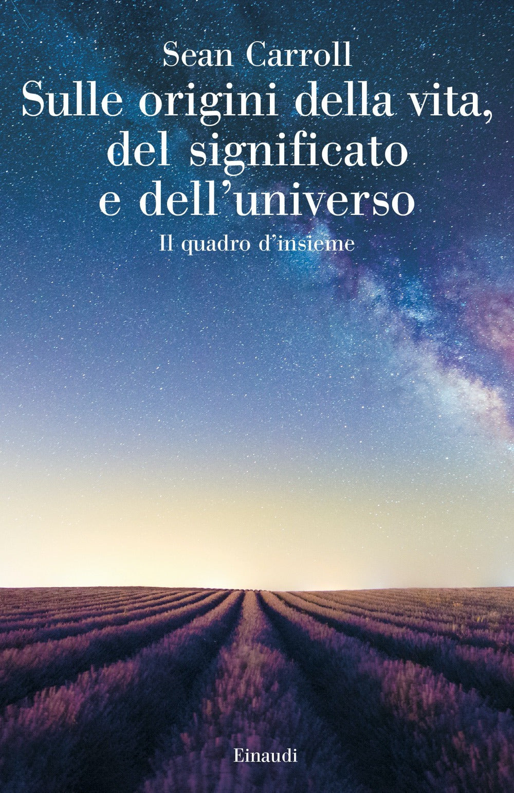 Sulle origini della vita, del significato e dell'universo. Il quadro d'insieme.