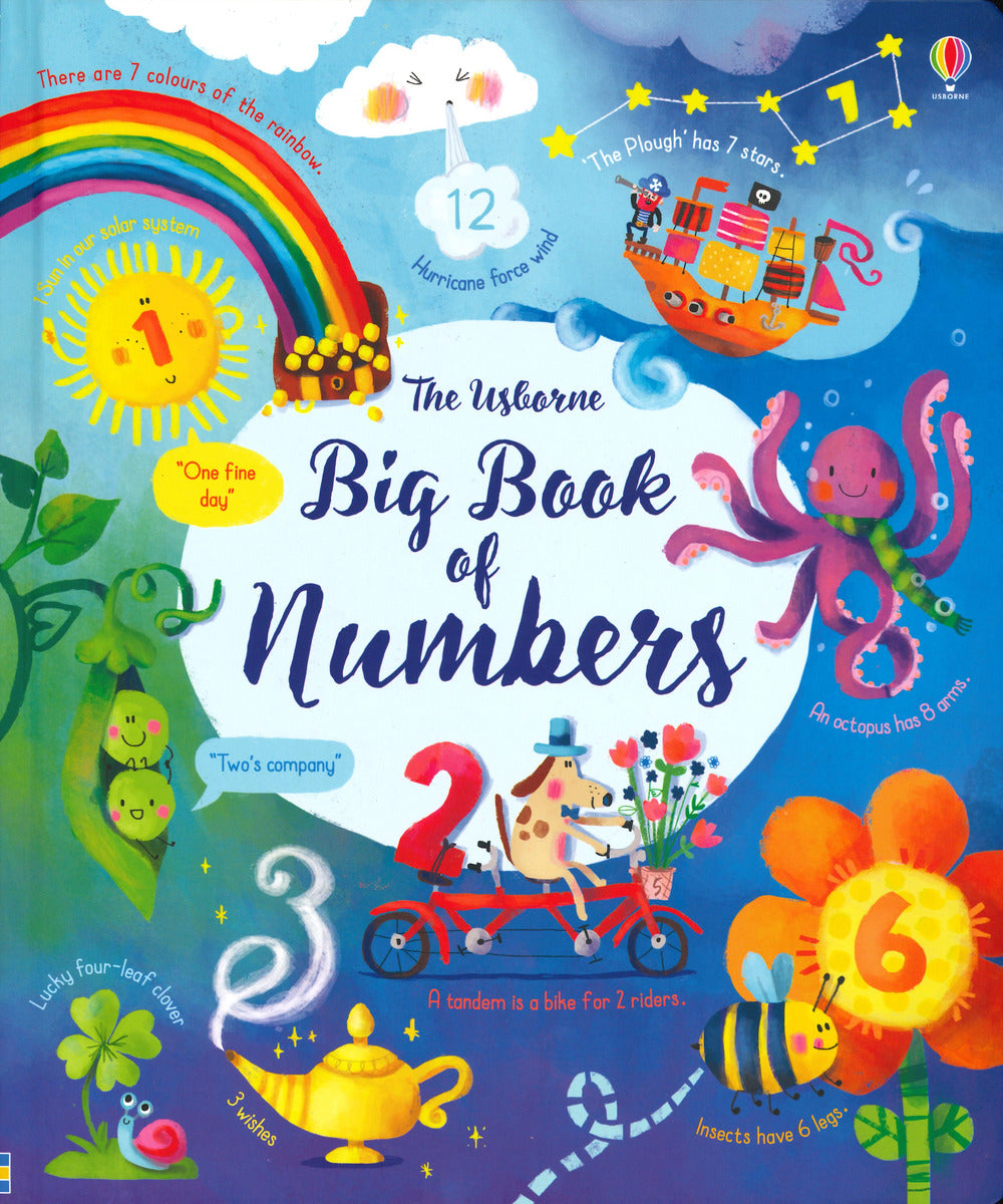 Big book of numbers. Ediz. a colori.