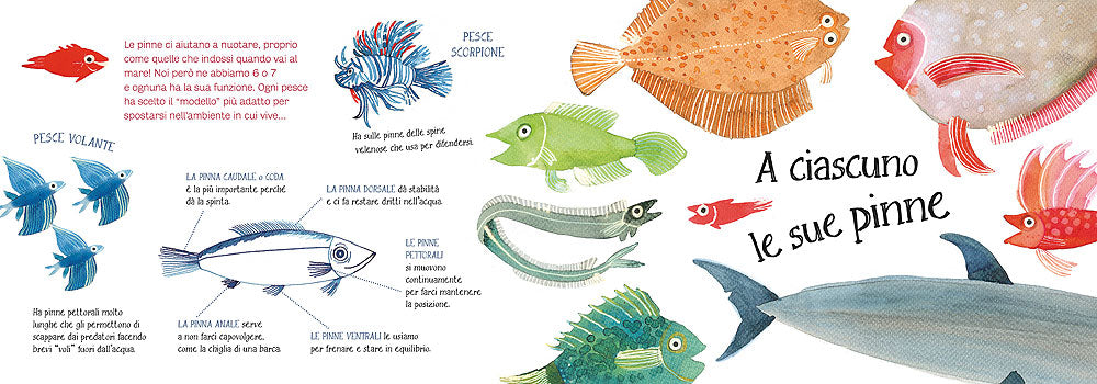 I Pesci. Ti presento la mia famiglia