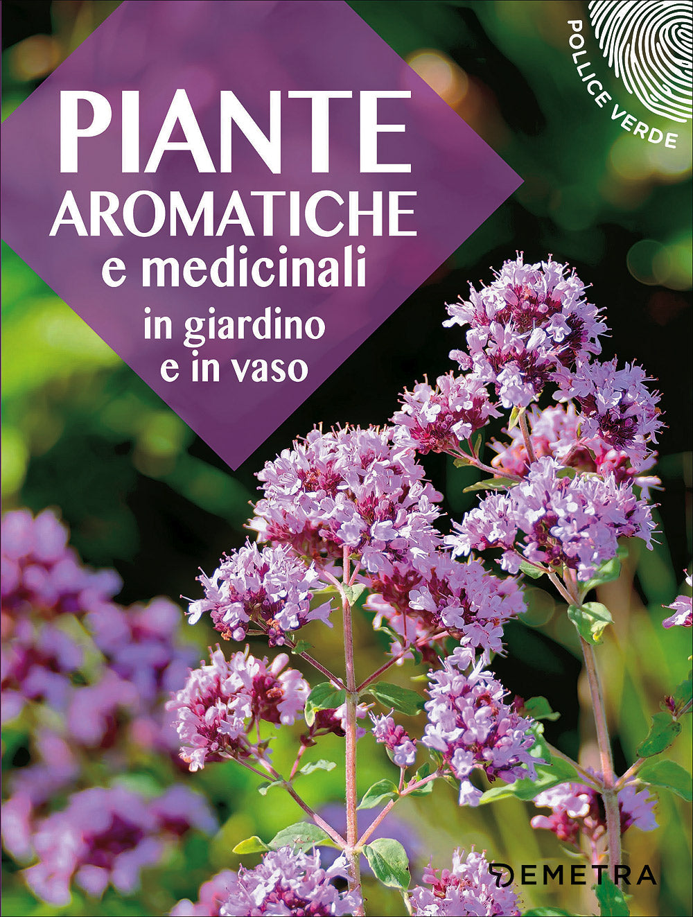 Piante aromatiche e medicinali . In giardino e in vaso