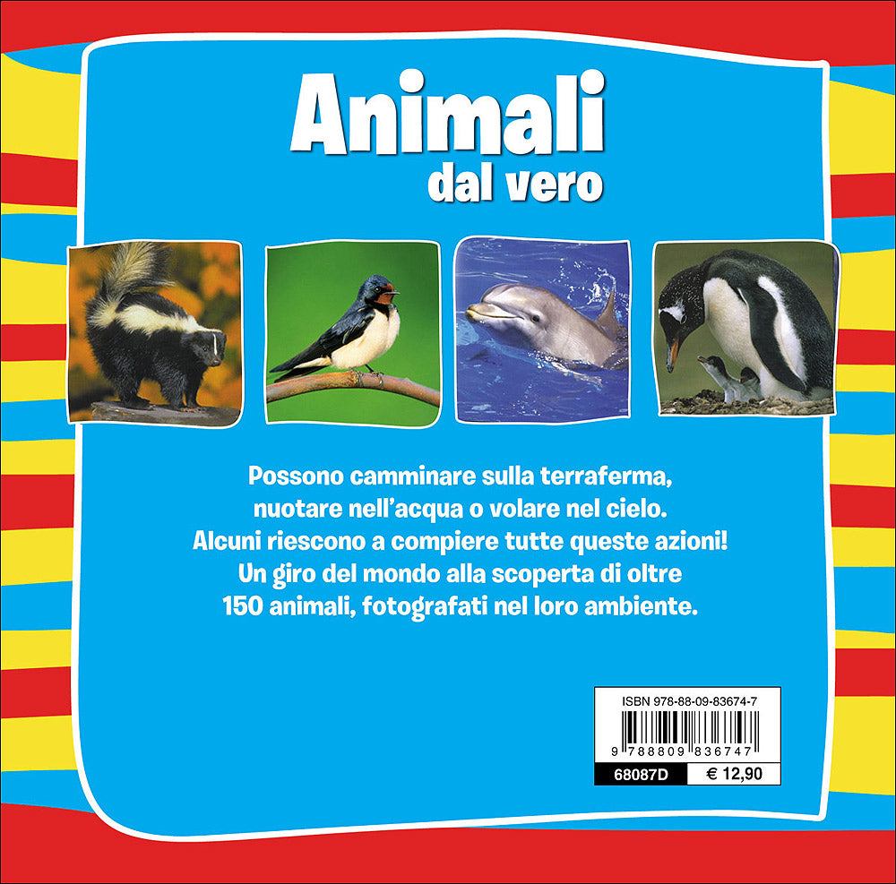 Animali dal vero