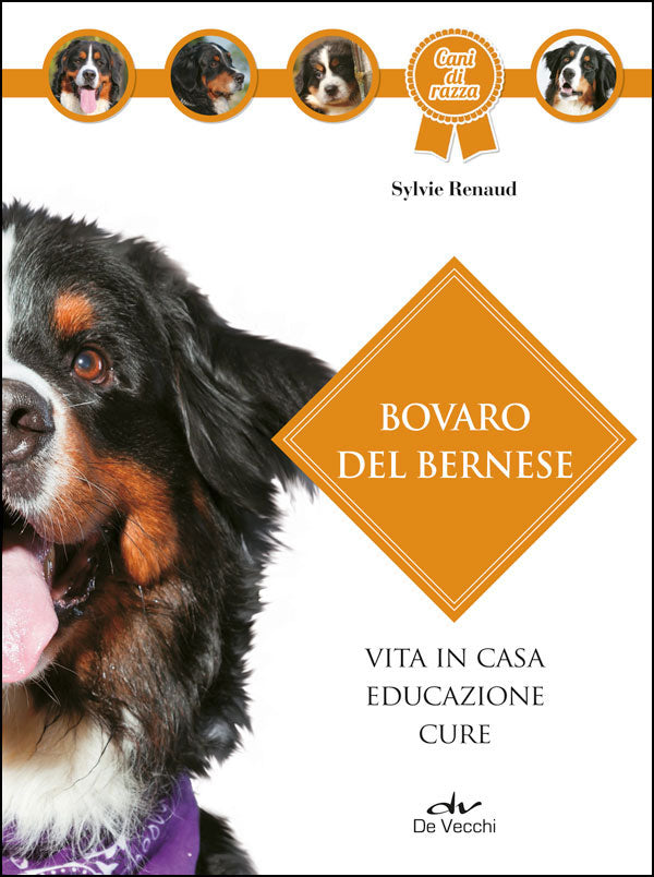 Bovaro del bernese. Vita in casa - Educazione - Cure