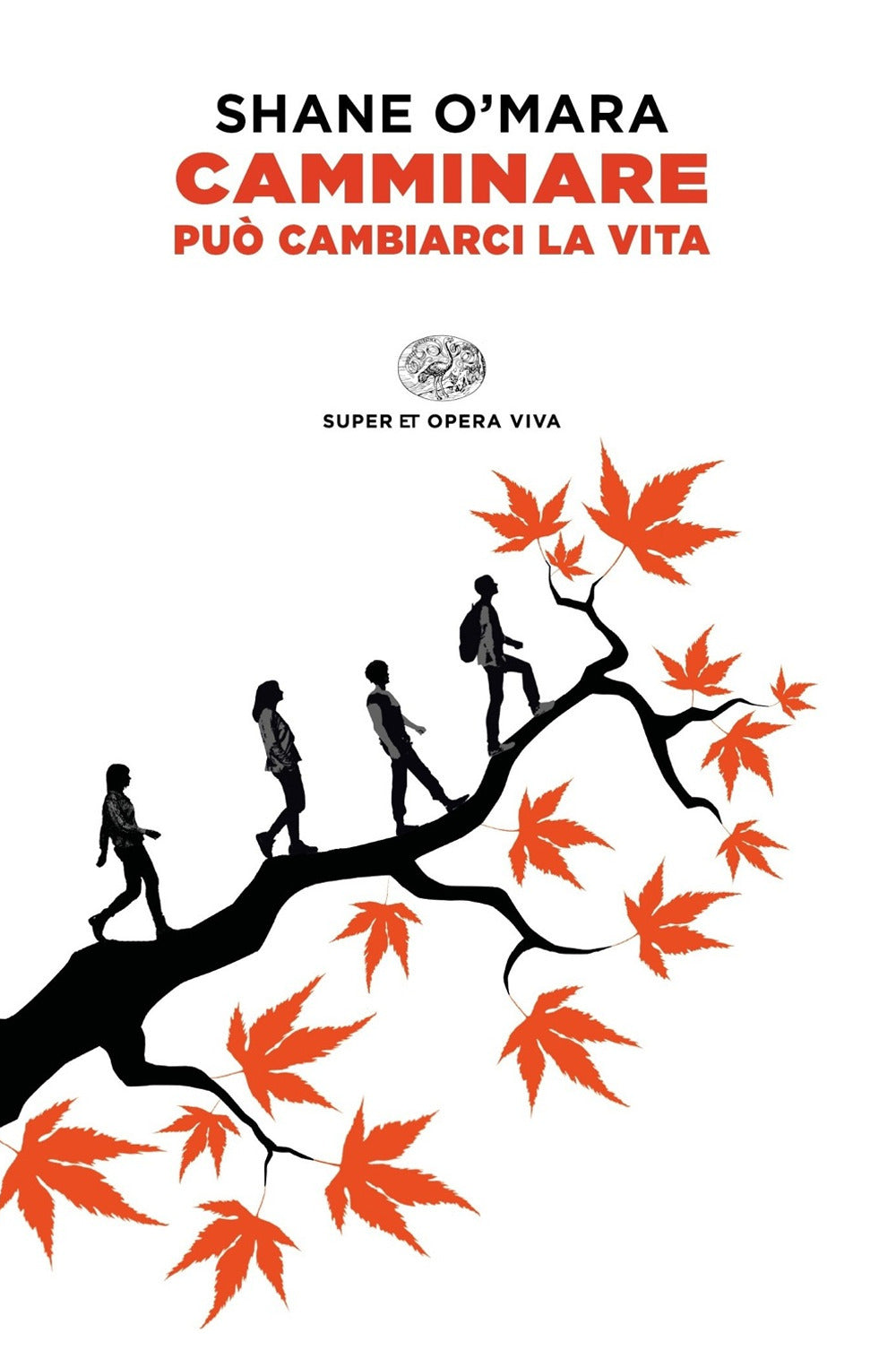 Camminare può cambiarci la vita.